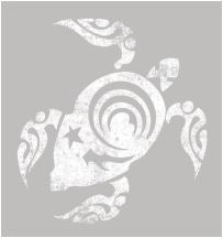 Camiseta Galapagos color pizarra